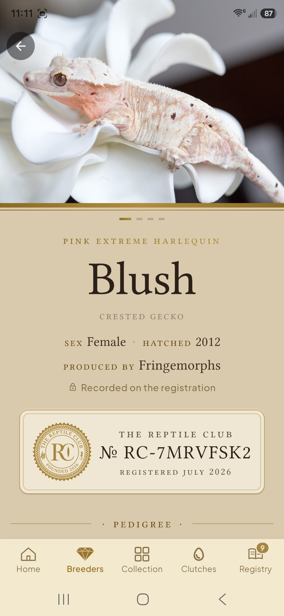 Blush's current HatchLog animal record in the app's default light mode.