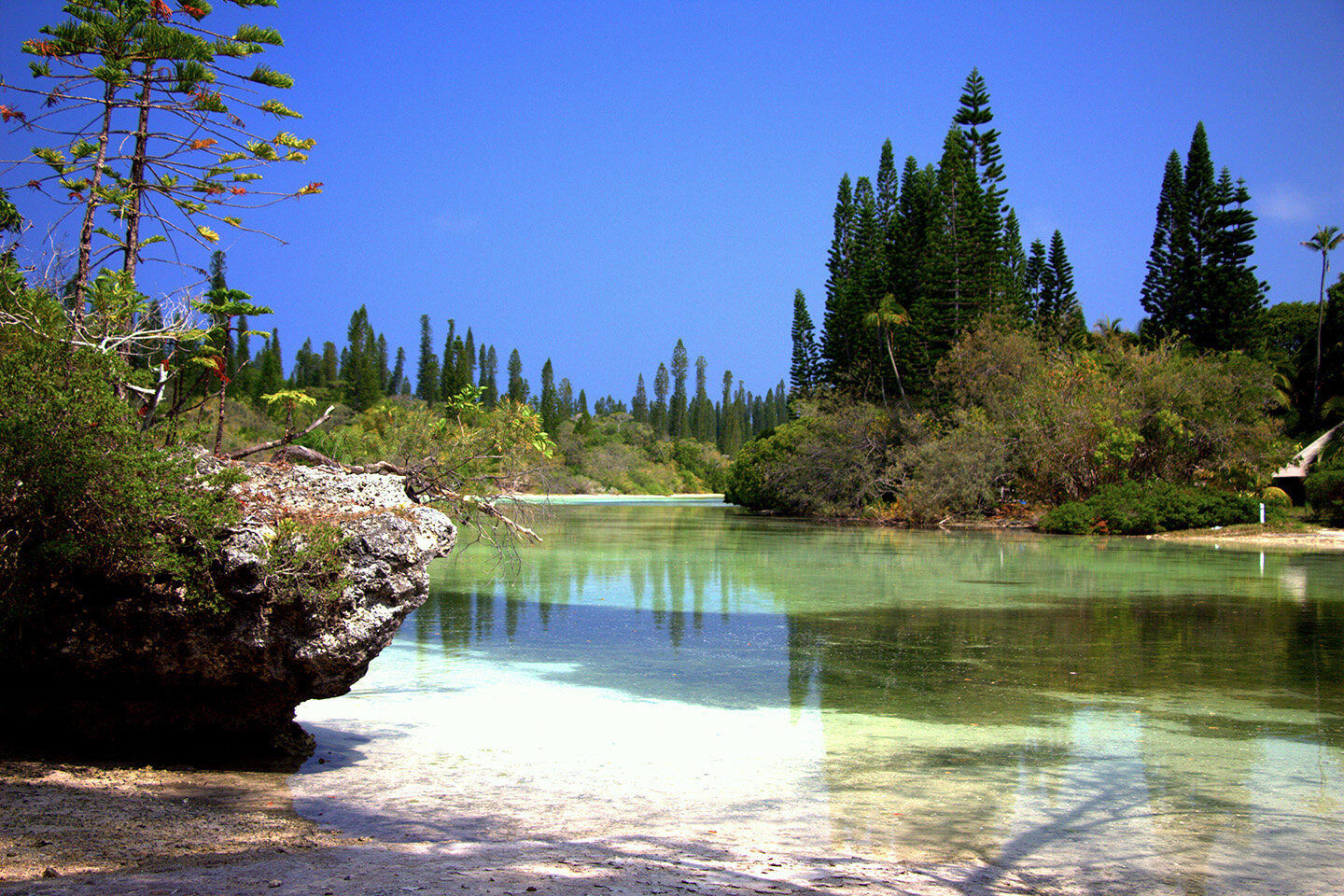 A coastal lagoon on the &Icirc;le des Pins, New Caledonia, with araucaria pines along the shore