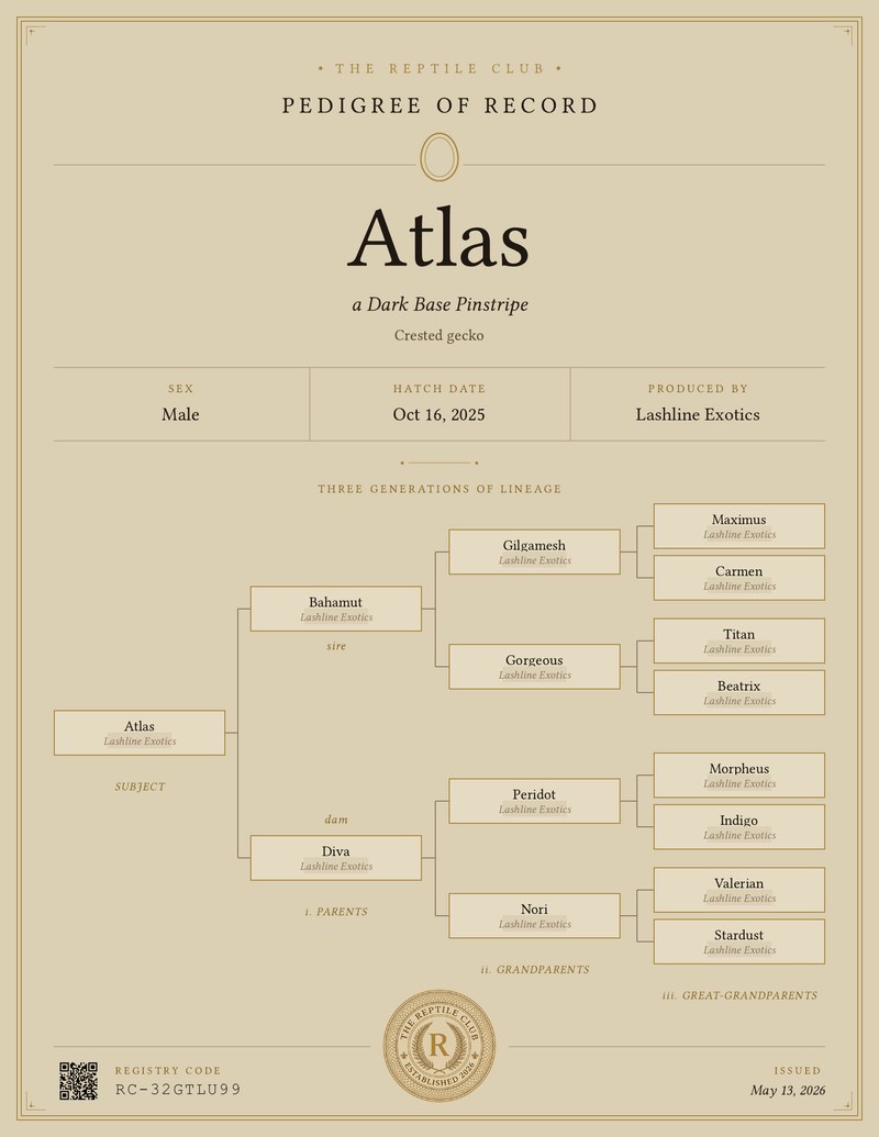 A sample Reptile Club Certificate of Pedigree showing a Crested gecko named Atlas, with morph, particulars row, three-generation lineage tree, and registry code at the footer.